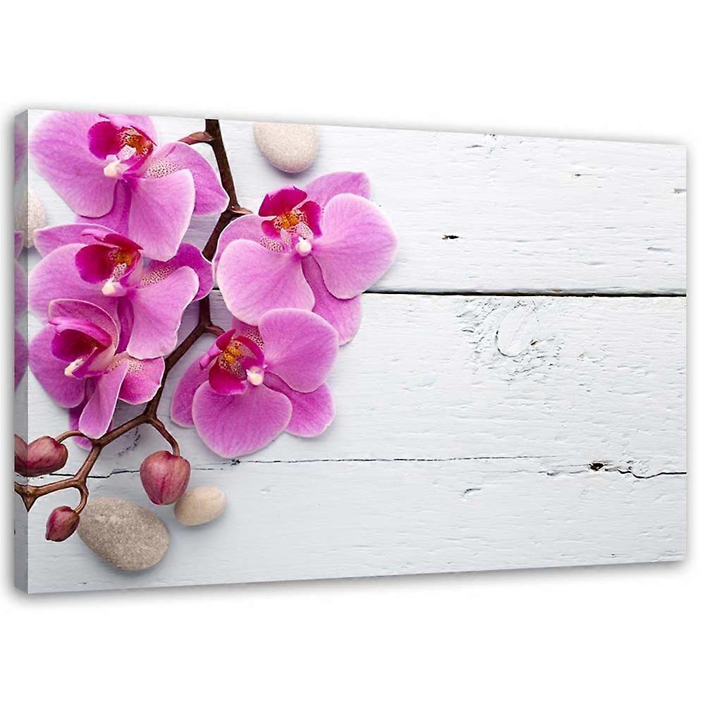 Impression sur toile, Orchidée rose et bourgeons - 120x80