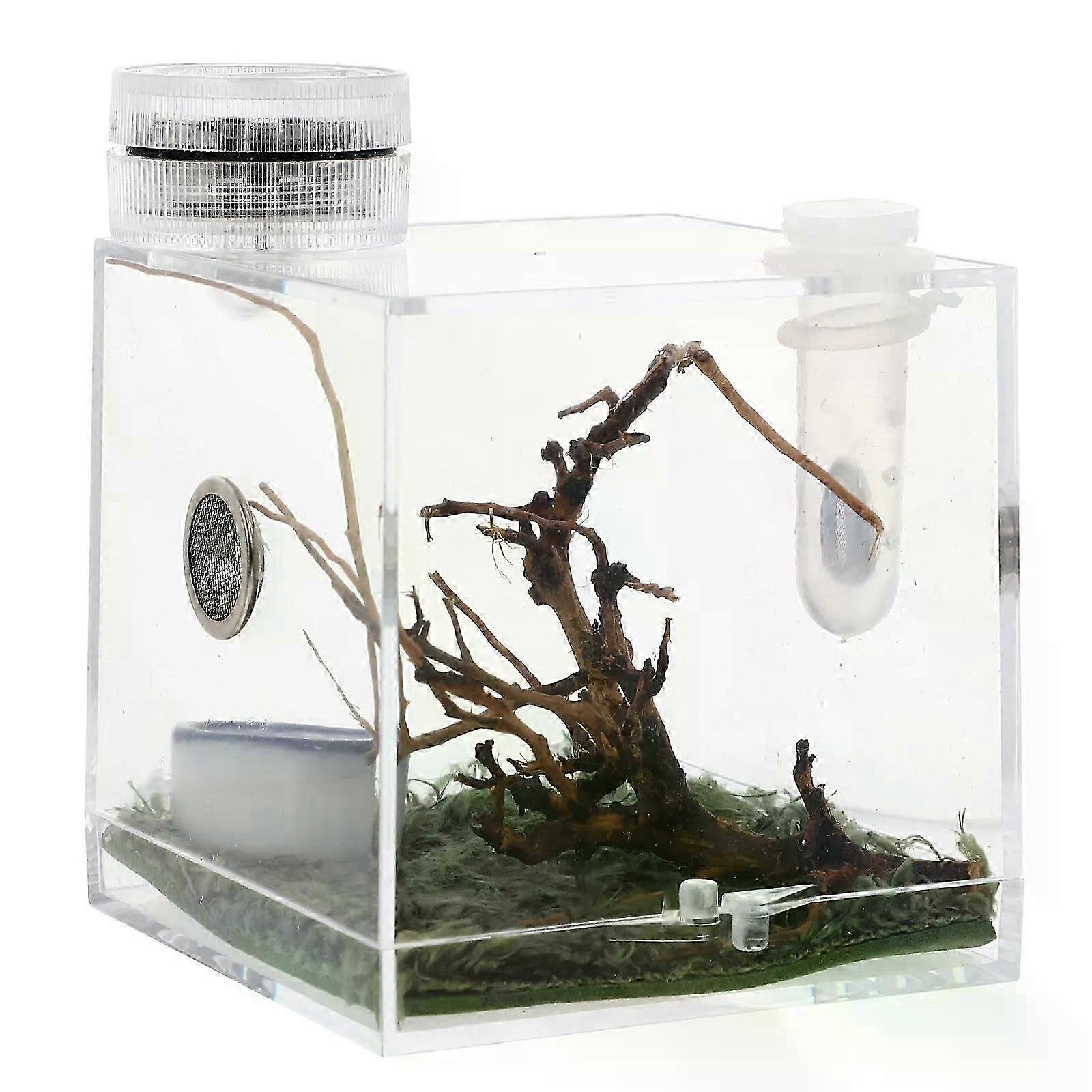 Jumping Little Critters House Container Wood Spider Enclosure Tarantula Breeding Box Reptile Fogger