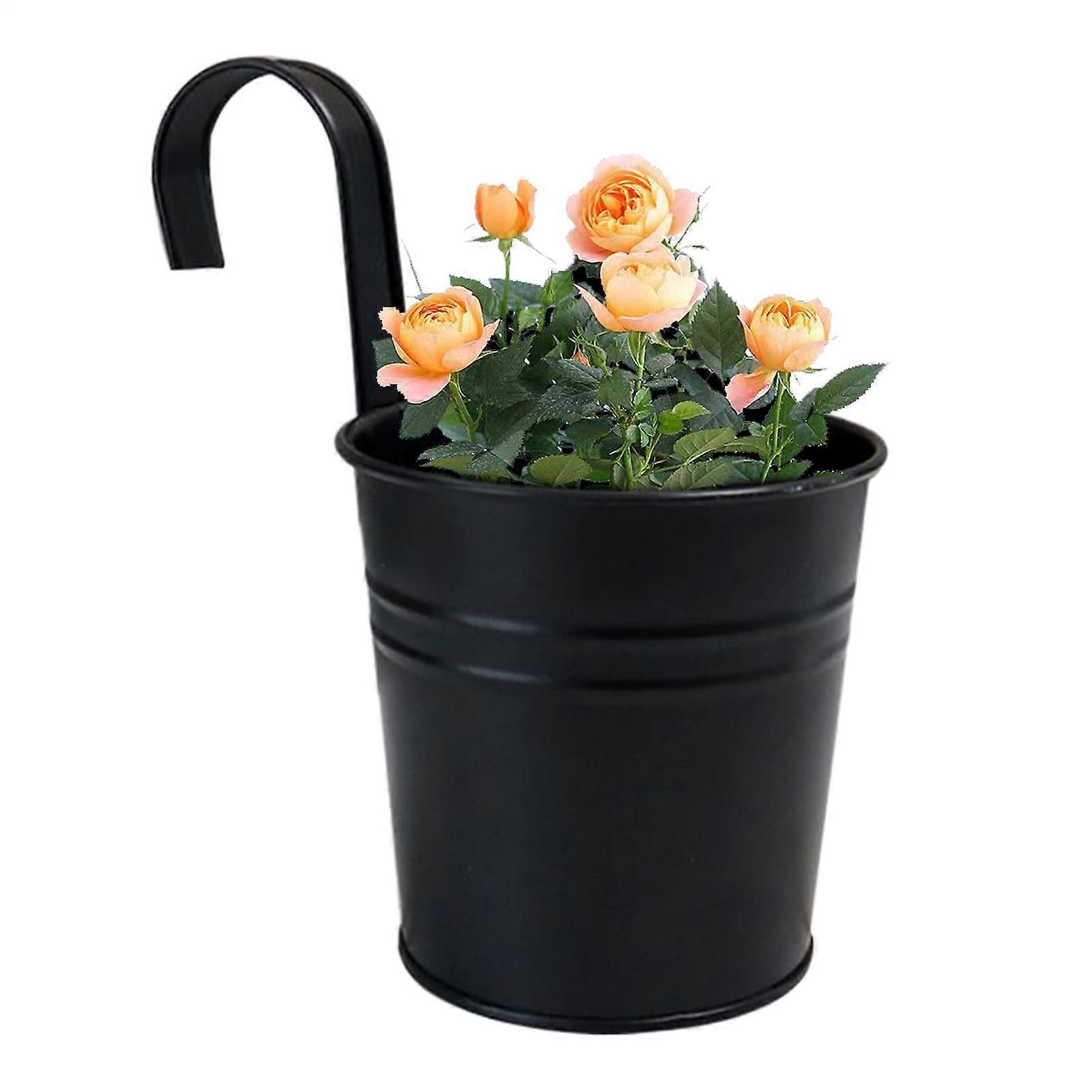 Reusable Garden Jars with Removable Hooks, Robust Garden Buds, Black