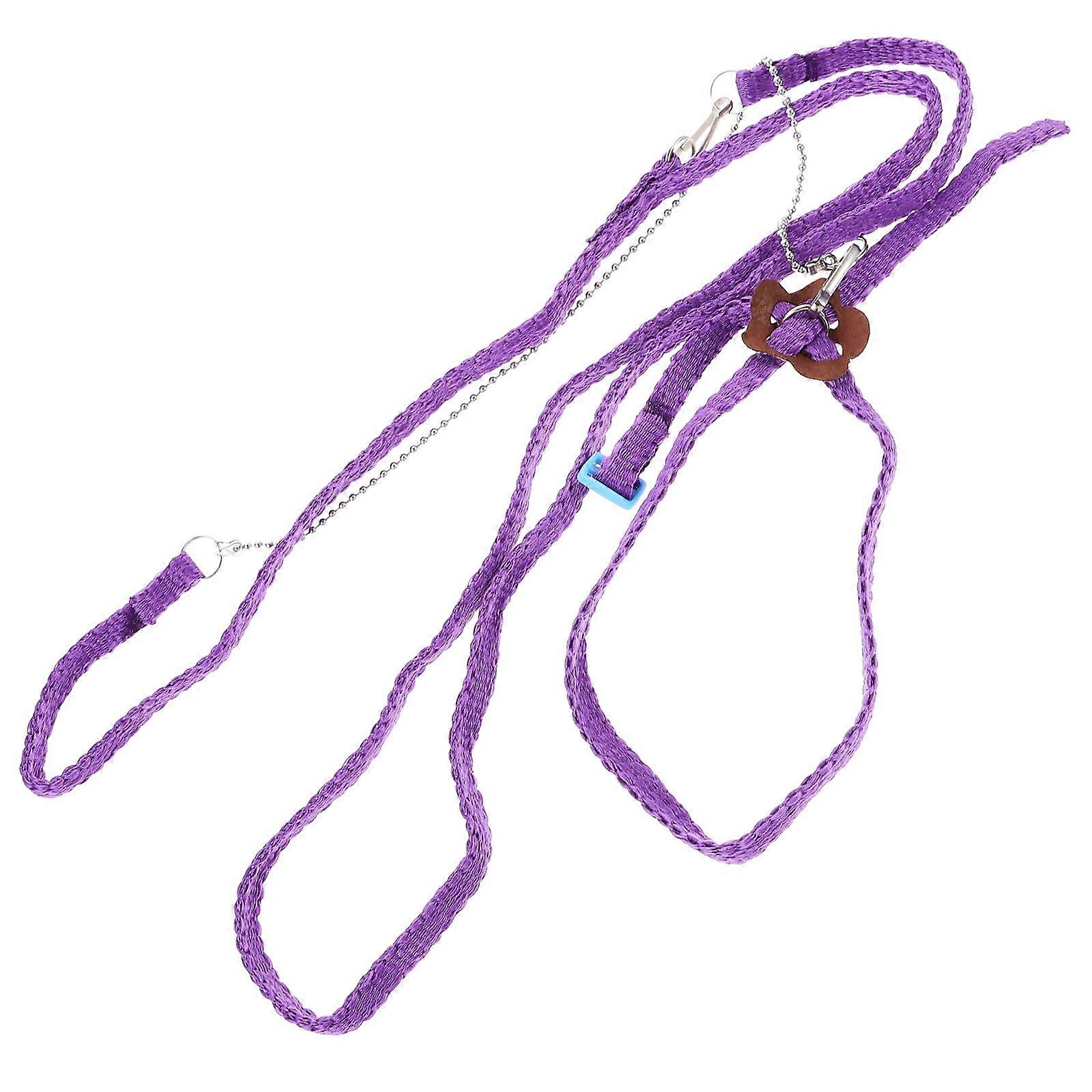 1.2M Adjustable Reptile Lizard Harness Leash for Outdoor Walk (Purple)