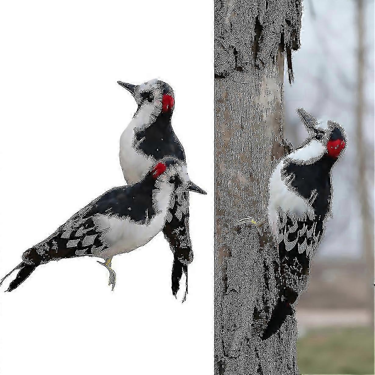 2 Stück echte Specht Gartendekoration
