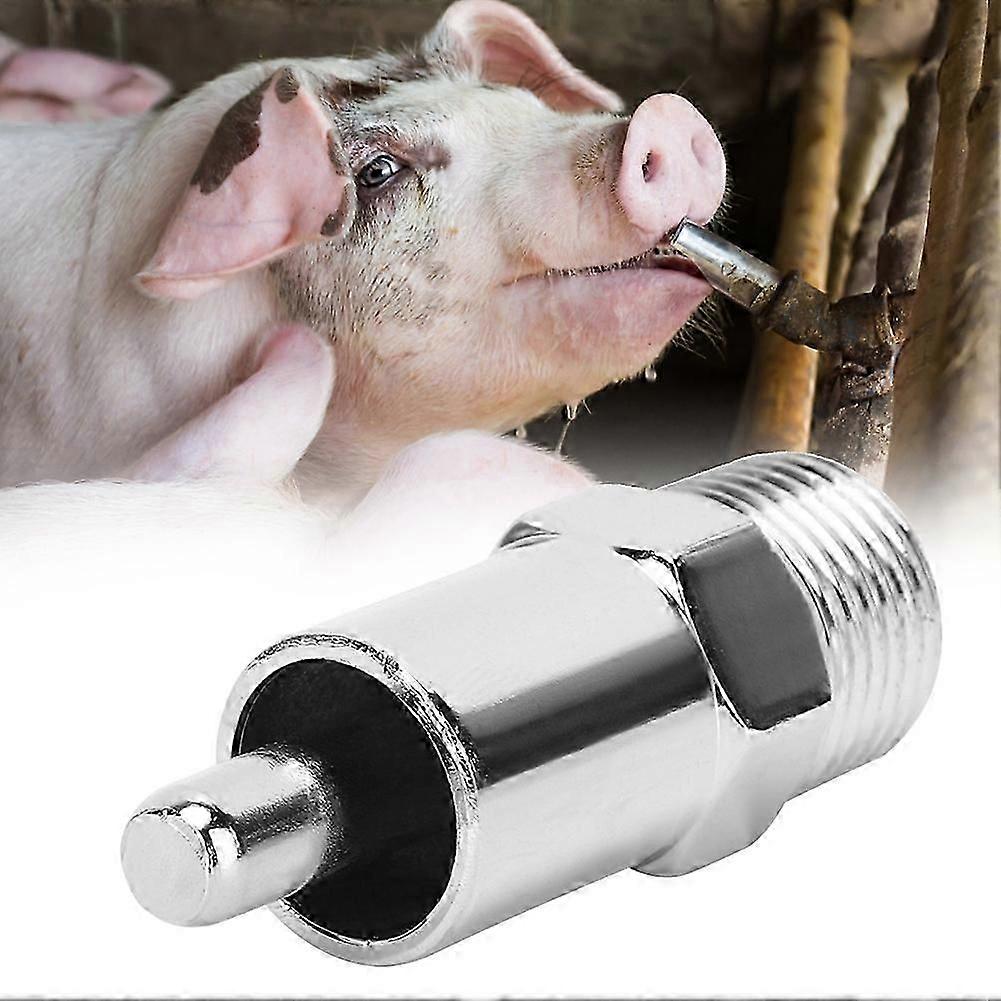Removable Automatic Pig Drinker Drinking Tool 5Pcs Livestock Farming Accessory