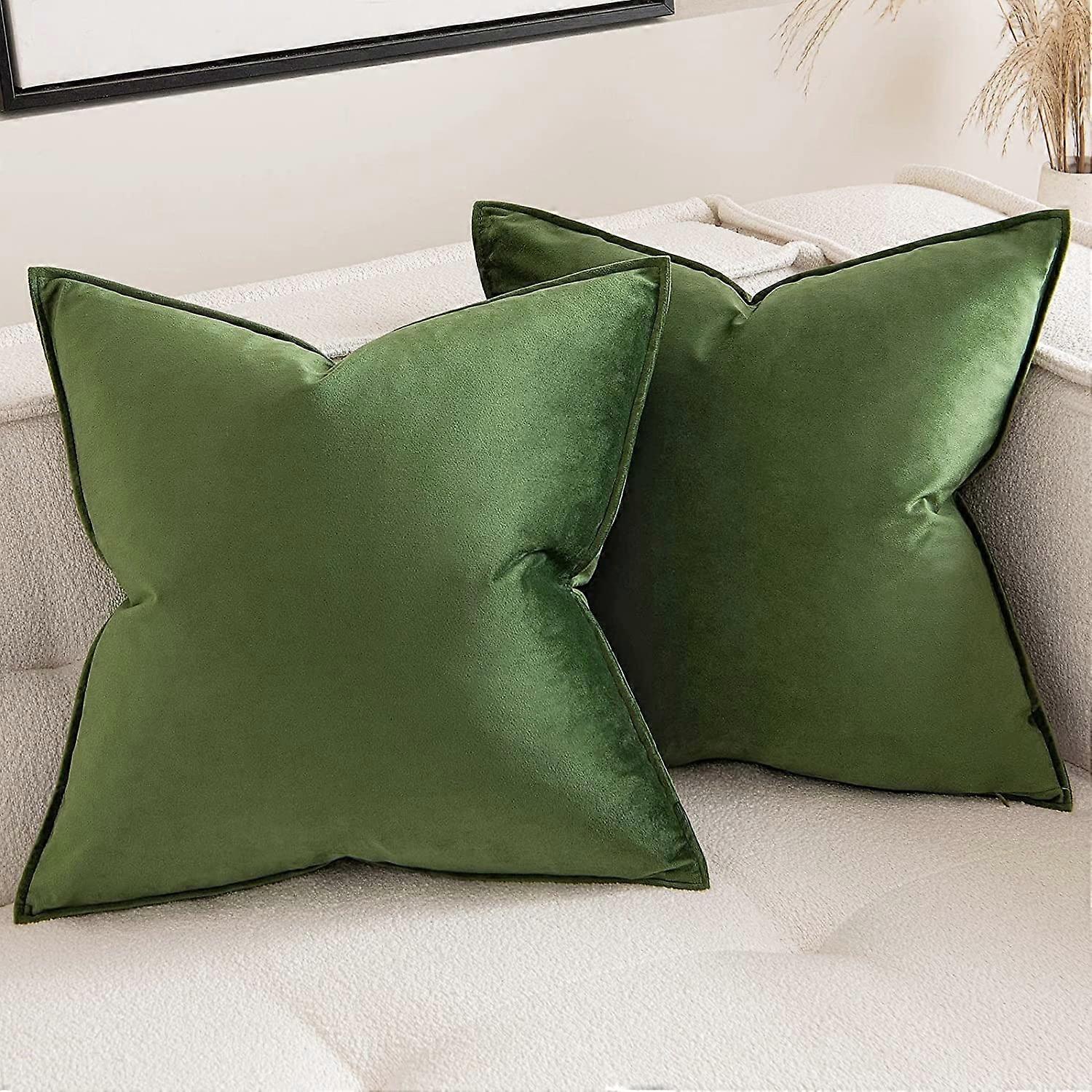 Cterwk 2 Pack Soft Velvet Square Throw Pillow Covers Square Cushion Case for Bed Couch Sofa Bench, 20 x 20 inch