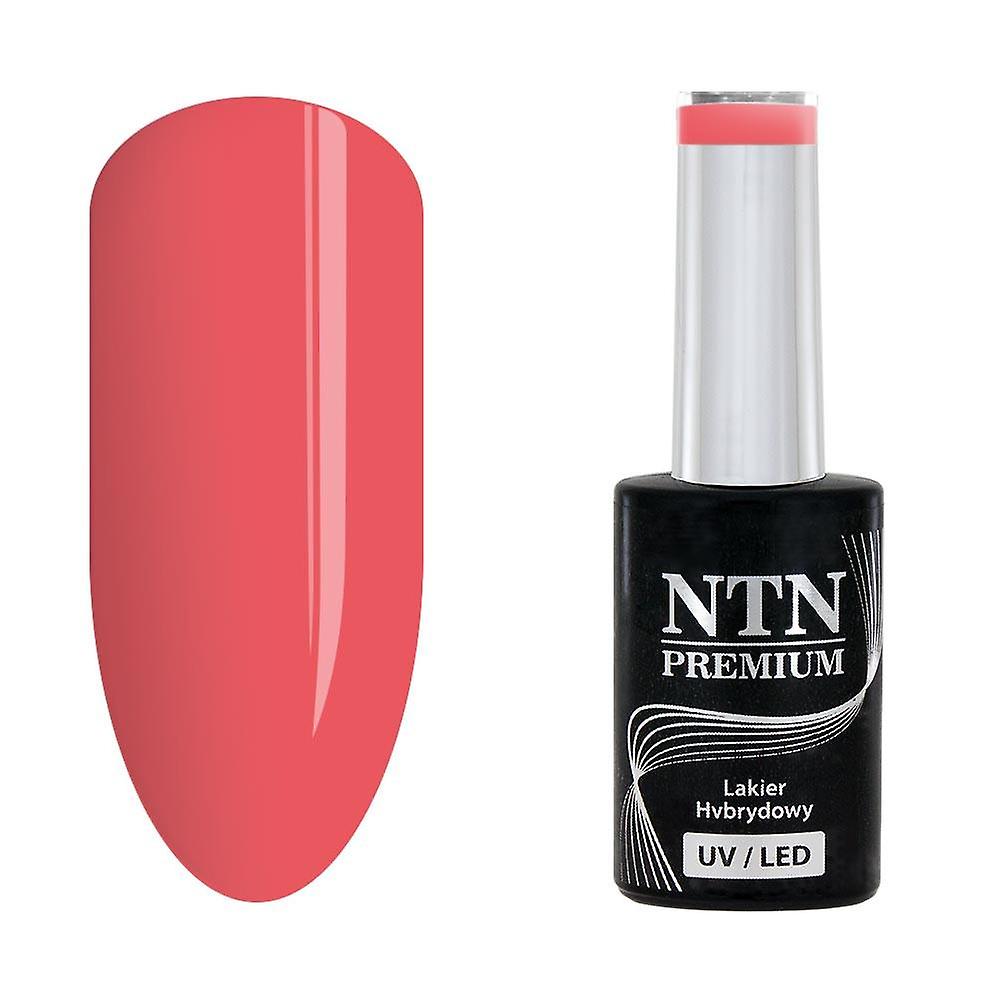 NTN Premium - Lakier hybrydowy - Design Your Style - No38 - 5g żel UV/LED