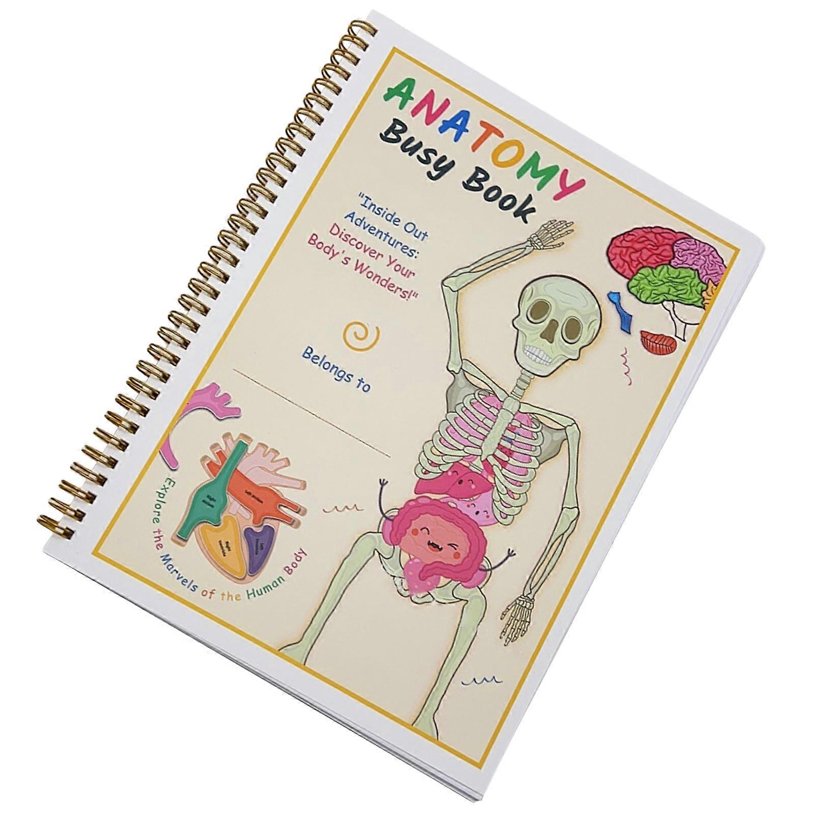 Educational Toy Human Anatomy Busy Book for Children Explore the Wonders of the Body with Interactive Activities Multicolor