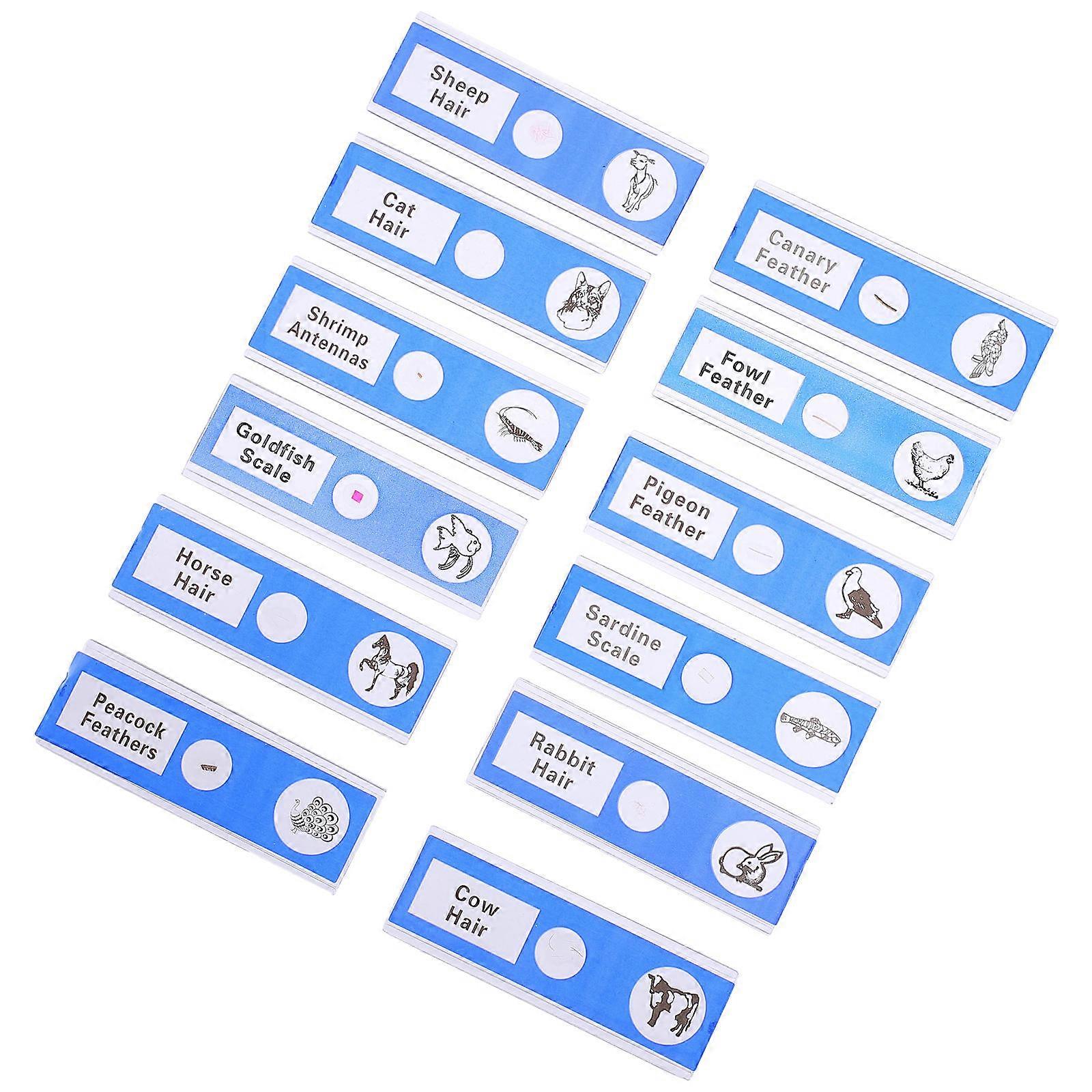 ABS Prepared Microscope Slides Animal Sample Specimens for Laboratory 12Pcs