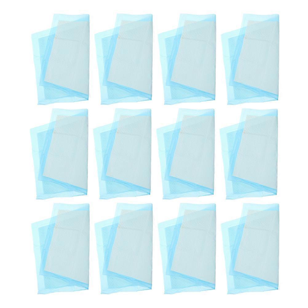 Disposable Puppy Pads Pet Pee Pad for Indoor Training 100Pcs