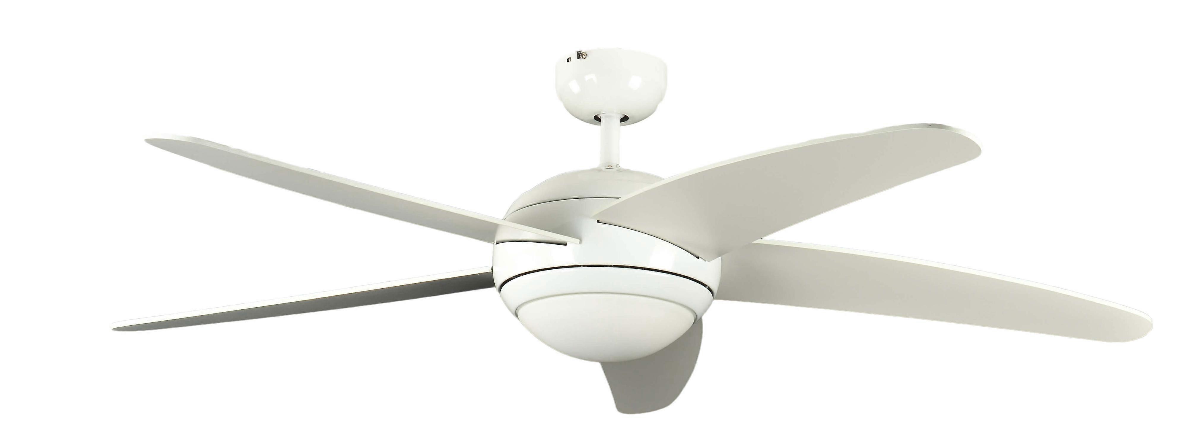 Ceiling fan Melton White with light