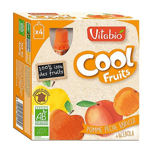 Gourd Cool Fruits Apple Peach Apricot ORGANIC 4 units of 90g (Peach - Apricot - Apple - Pumpkin)