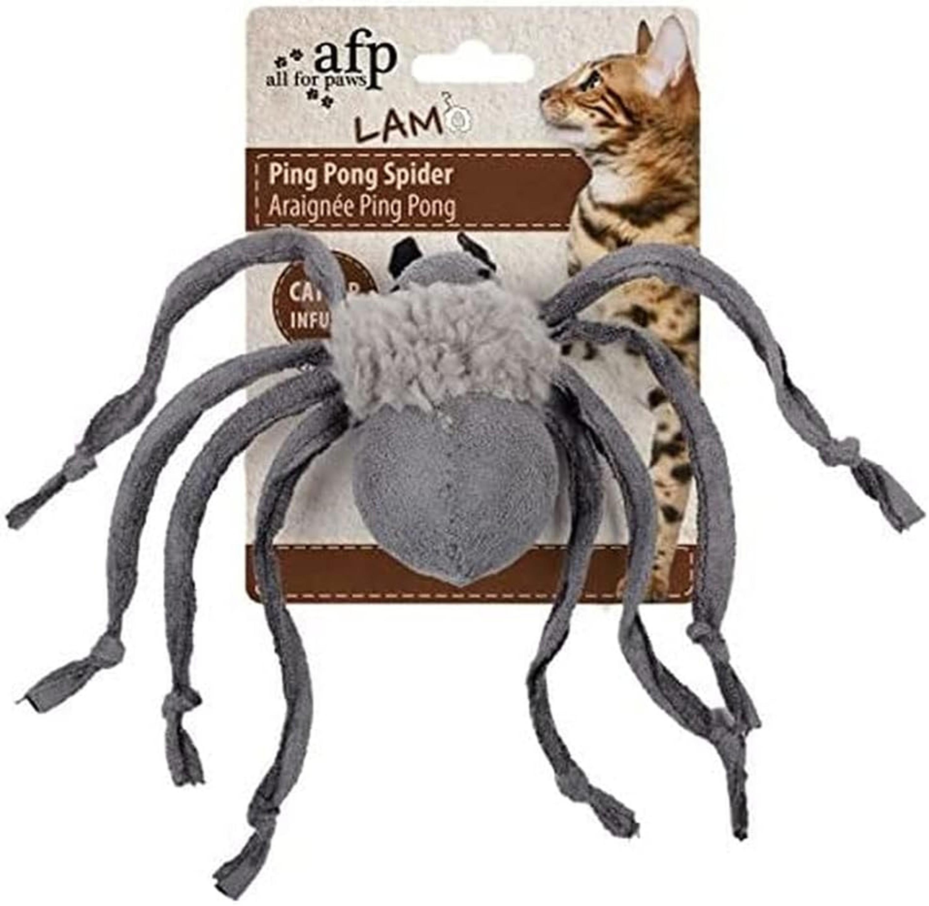 All For Paws Lamb Ping Pong Spider Mixed Colours (SNG) Cat Toy