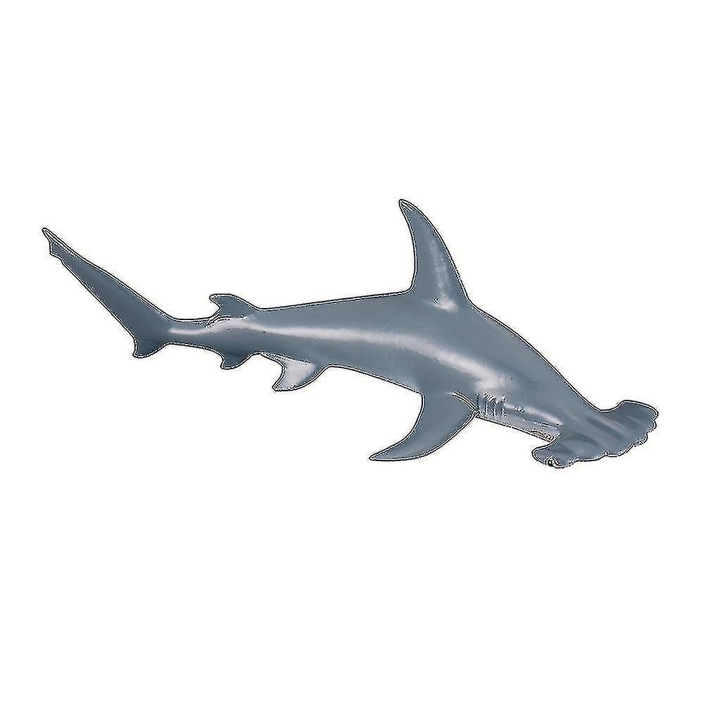 New Scalloped Hammerhead Shark