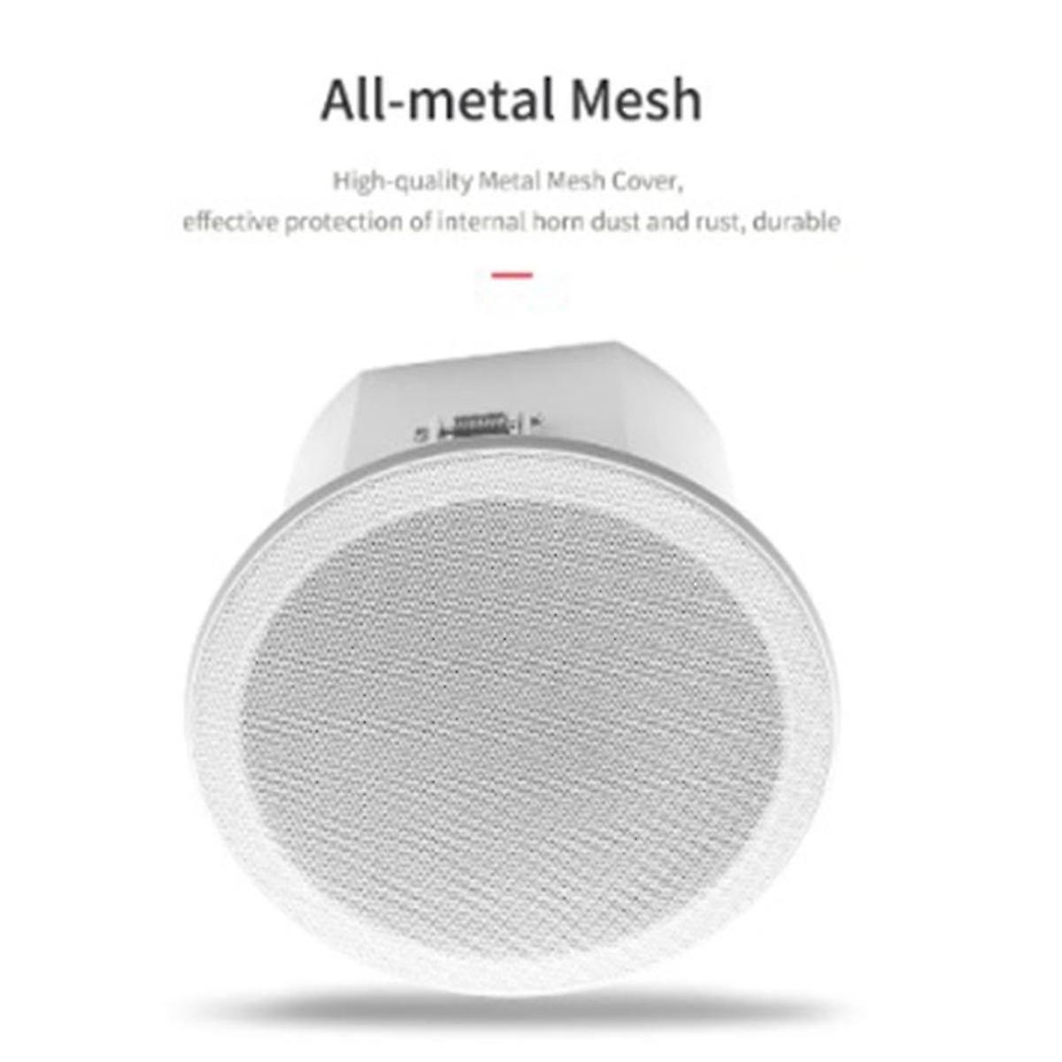 Built-In Amplifier Full-Range Bluetooth Back Cover Home Theater Background Music Ceiling Speaker