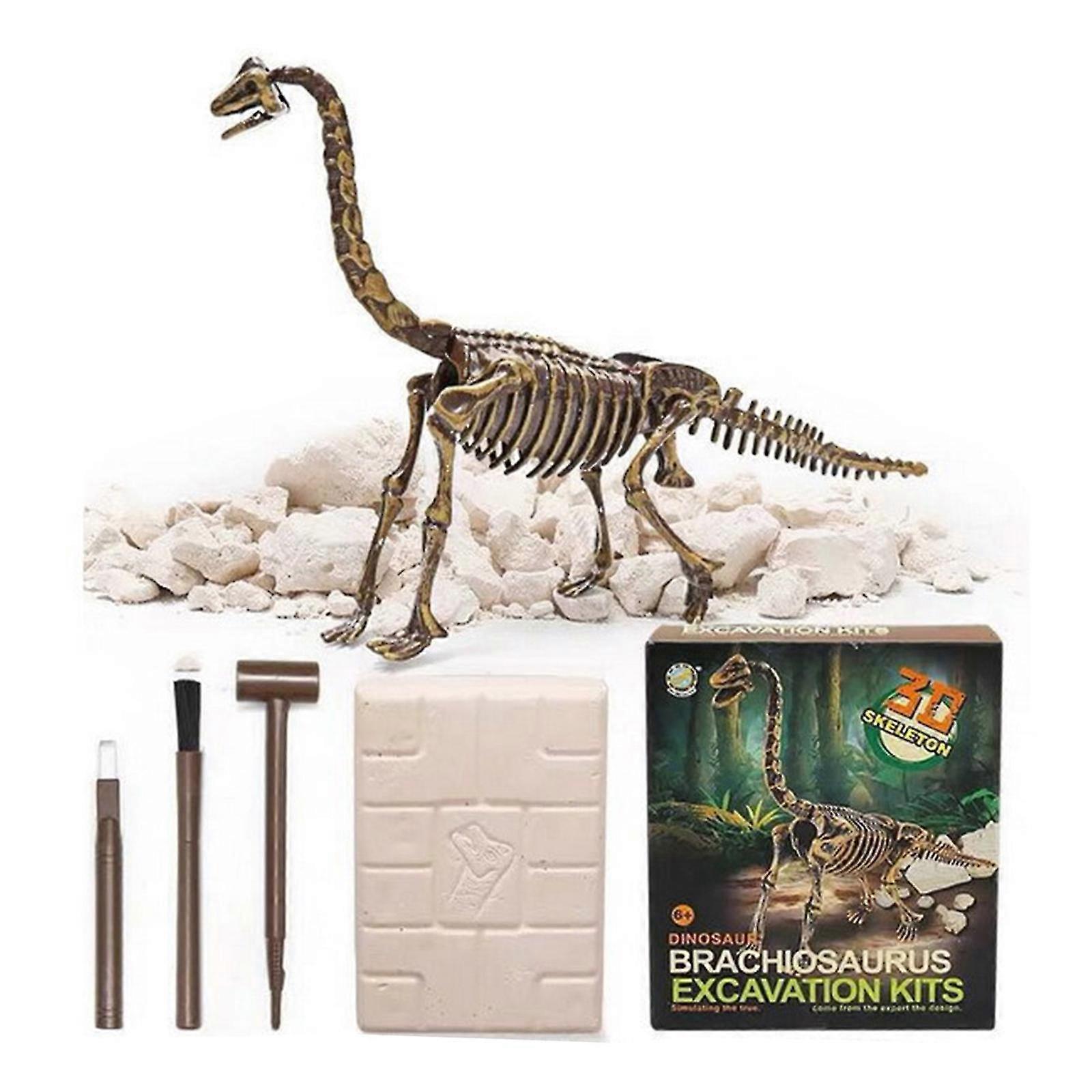 Interactive Archaeological Excavation Toy Dino Lucky Box Blind Giftbox Presentchrui465