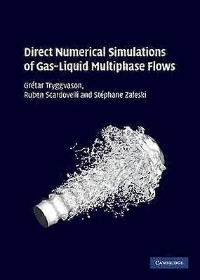 Simulations numériques directes d’écoulements multiphasiques de fluides gazeux