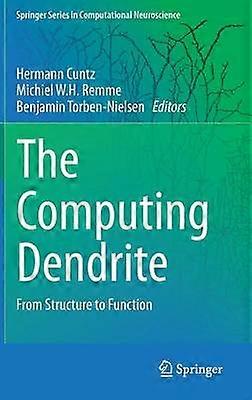 The Computing Dendrite