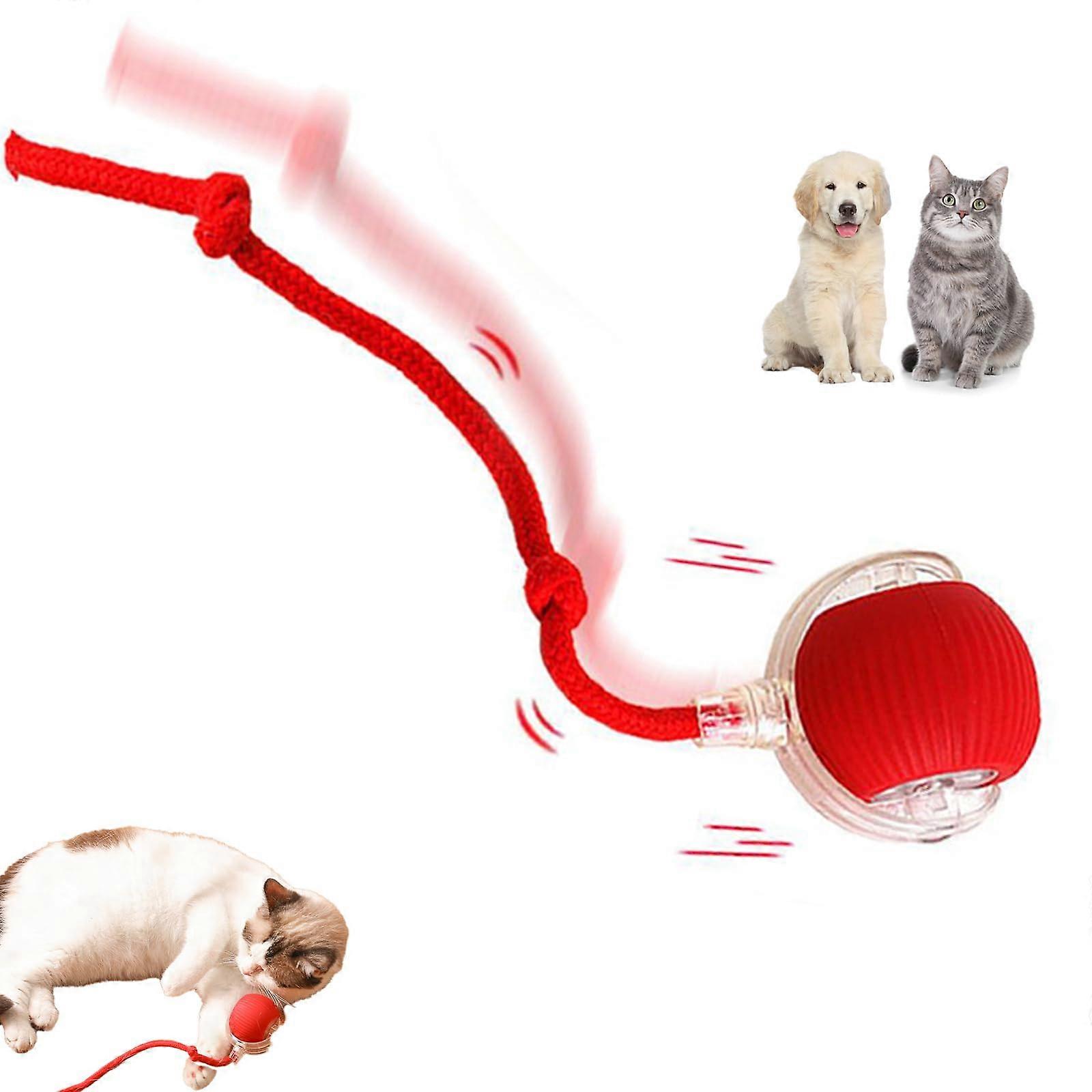 Interactive Self Rolling Smart Cat Toy Ball, Automatic Rechargeable Indoor Electric Play, Durable and Engaging Design