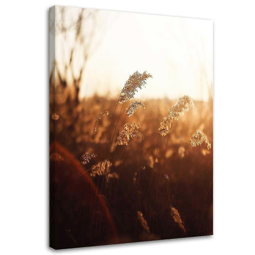 Lienzo, Pradera al sol - 40x60