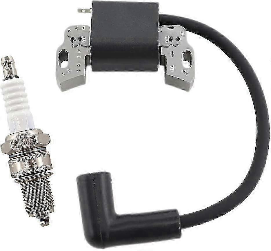 适用于Briggs & Stratton 08P500 08P600 093J02 09P600 09P700割草机的点火线圈带火花塞替换798534 799582 593872 595009