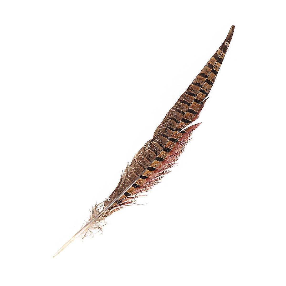 Natural Pheasant Craft for Adornment 12Pcs