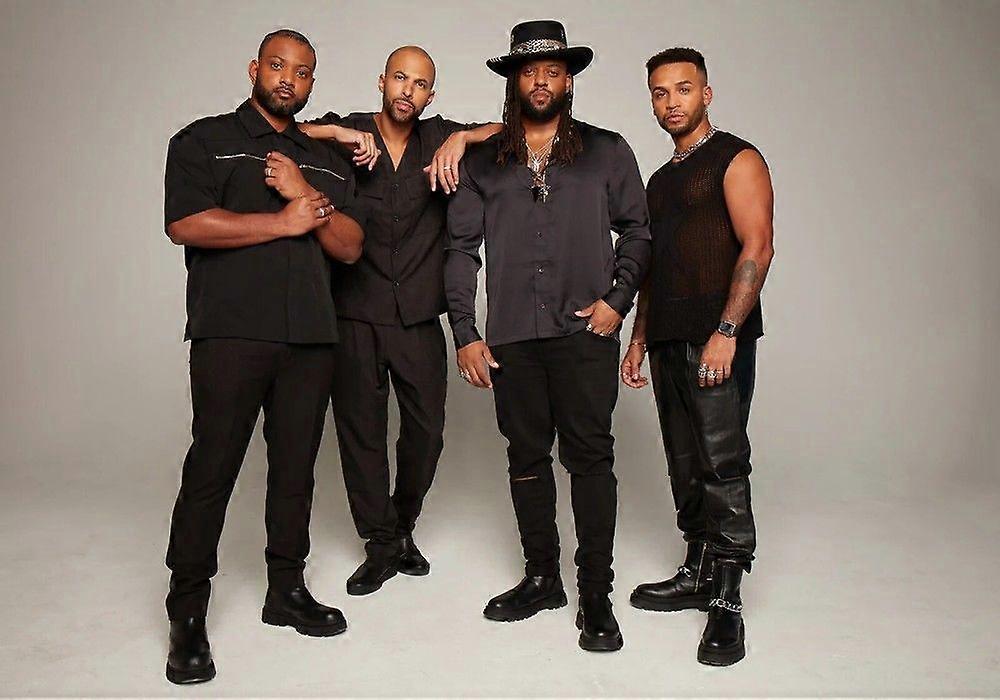 JLS Jigsaw Puzzle Brain Teaser QT 0956