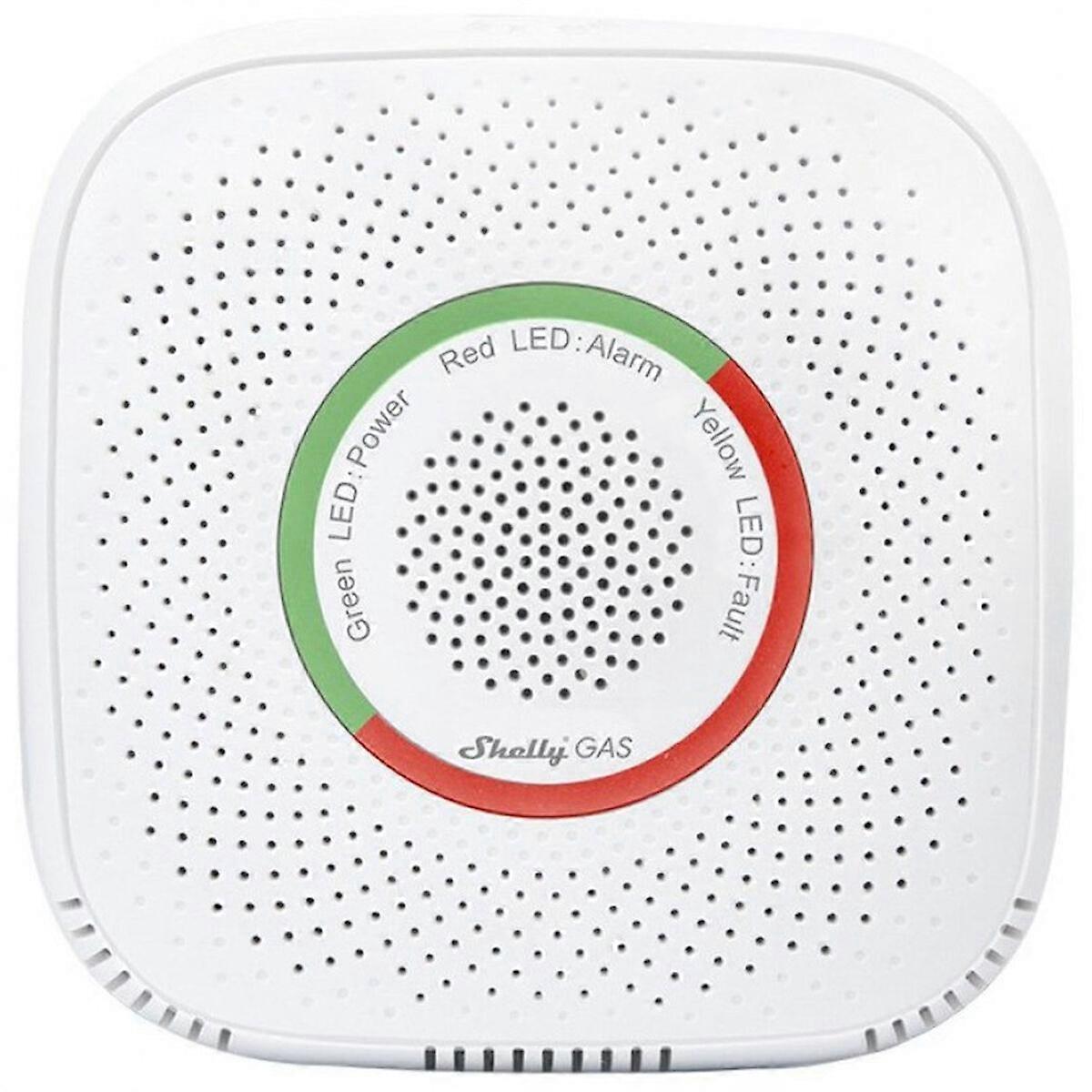 Surveillance Camcorder Shelly GAS CNG