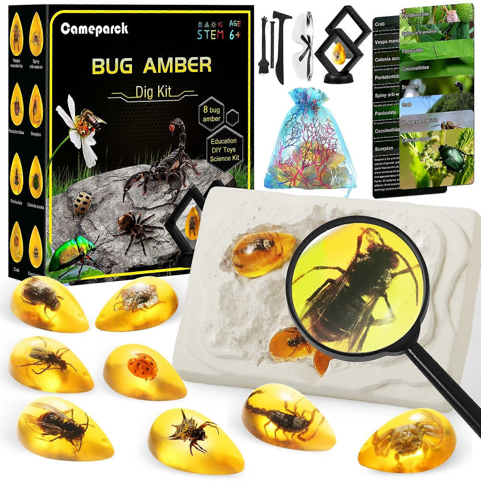 Amber Dig Kit for Kids STEM Learning with 8 Unique Specimens, Educational Dinosaur Excavation Toy