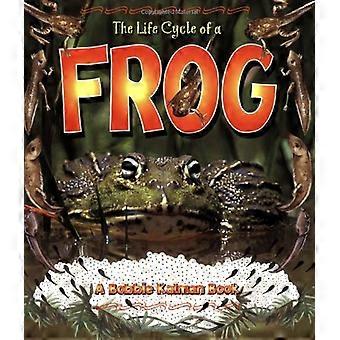 Der Lebenszyklus eines Frosches (Lebenszyklus)