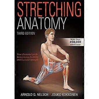 Stretching anatomi
