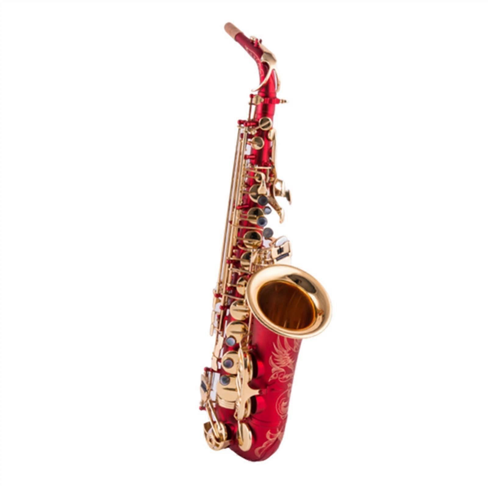 Brass E Flat Alto Saxophone with Case for Beginners, Consistent Color Matching