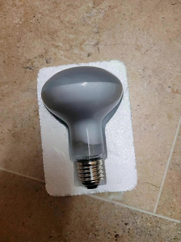 Daylight Basking Spot Lamp 100W