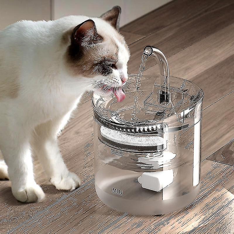 Automatic Cat Drinking Fountain 2l Puppy Cat Drinking Fountain