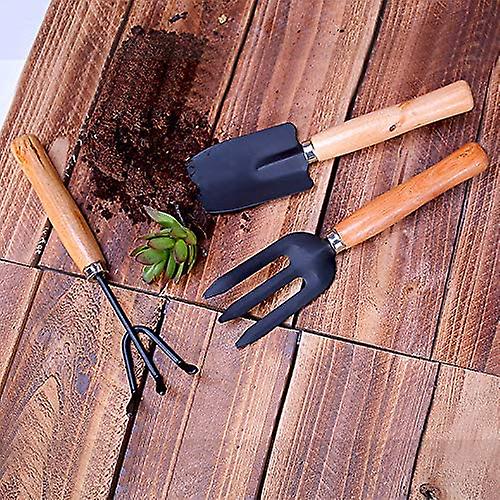 Garden Tool Set, 3 Piece Small Garden Tool Personalized Wooden Handle Spade Shovel Rake