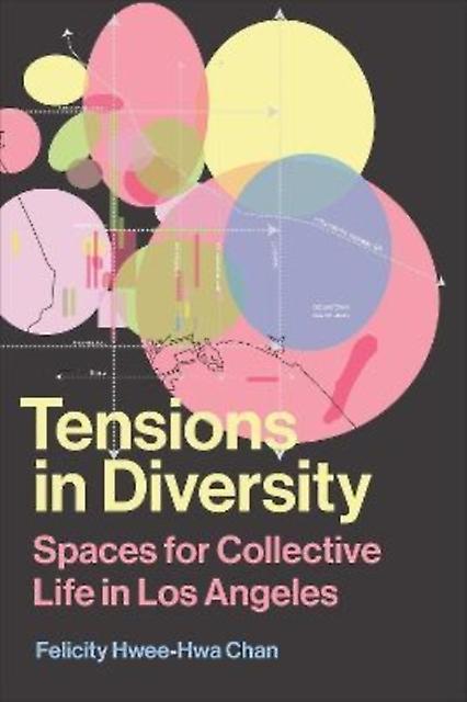 Tensions In Diversity by Felicity HweeHwa Chan Paperback Book