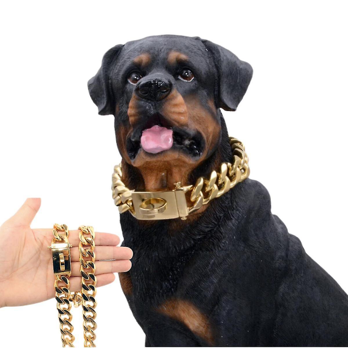 Collier de chien en or Acier inoxydable massif Dog Choke Big Dog Chaîne de marche extérieure 20 inches