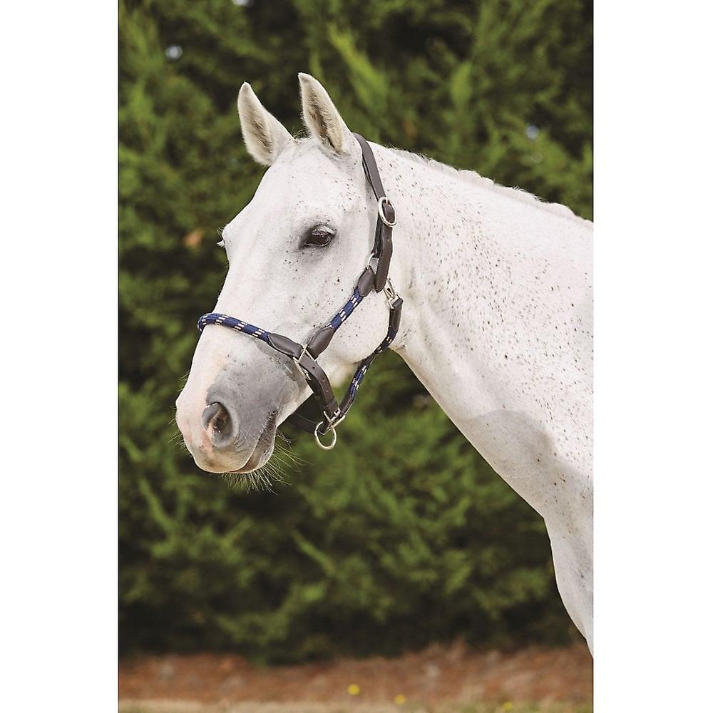 Kincade Leather Rope Headcollar - Navy/brown