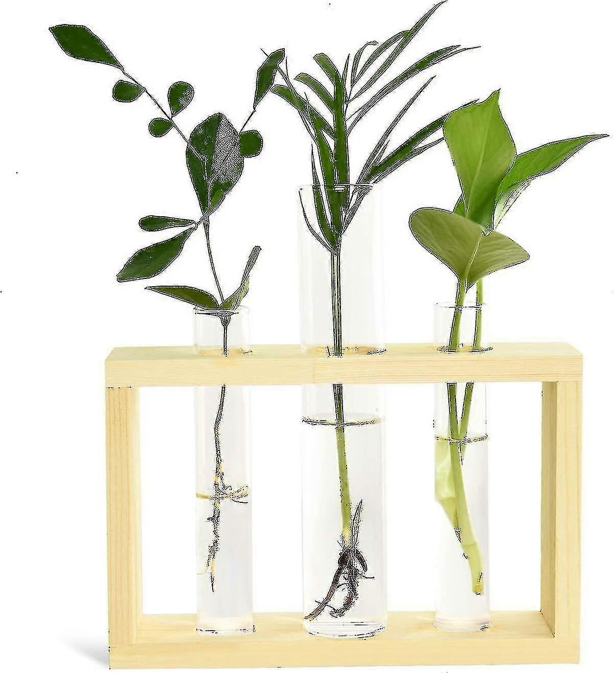 Sadzarka probówki Stacja propagacji roślin Szklana probówka terrarium