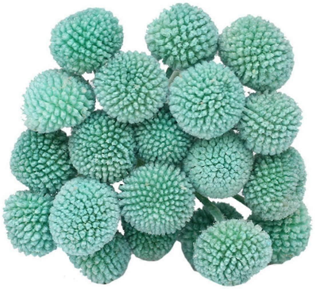 Craspedia Globosa 20pcs Material Flower Red 35cm