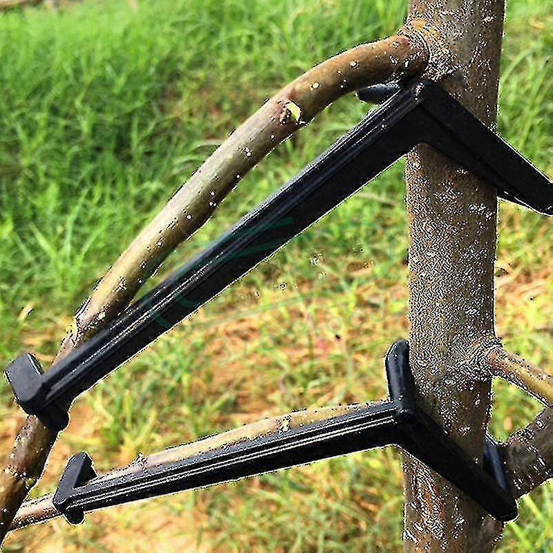 10pcs Fruit Tree Branches Holder Fruit Branch Spreader Tree Branch Support Frame