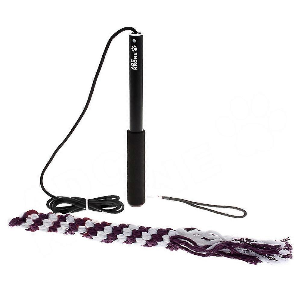 Flexible Tease Stick Dog Cat Training Stick