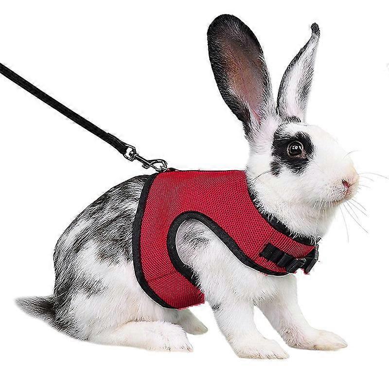 Adjustable Soft Harness with Elastic Leash for Rabbits