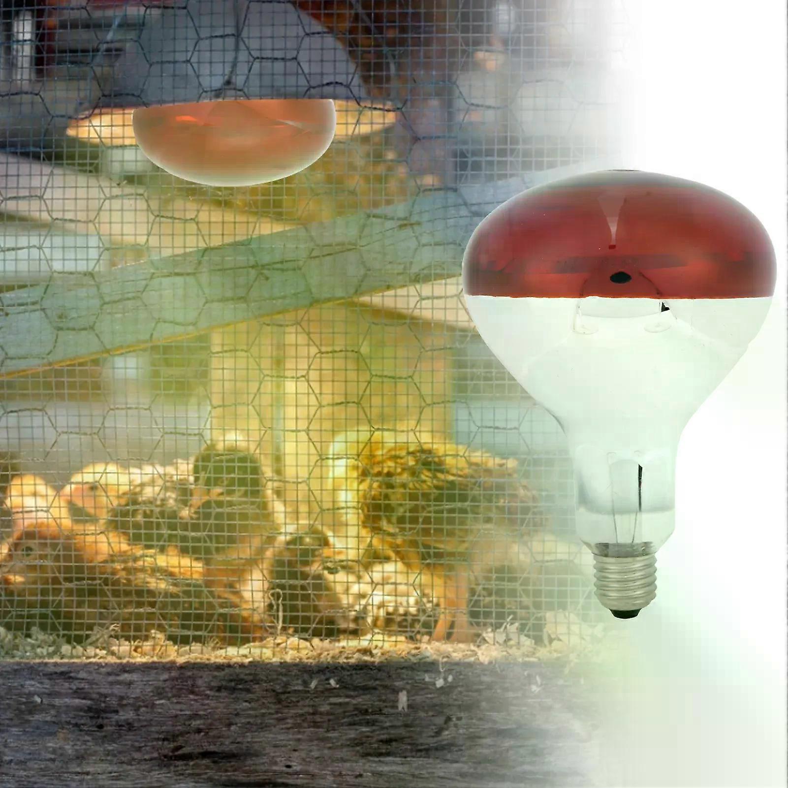 Chicks Heat Lamp Bulb Infrared Basking Spot Heat Reptile Heat Lamp Red Bulb for Brooder 220V / 250W