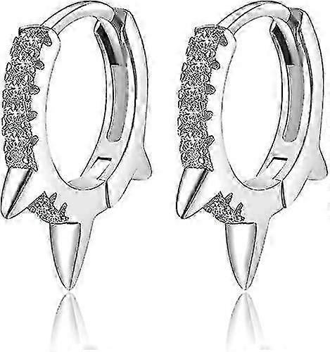 Hoop Earrings,silver