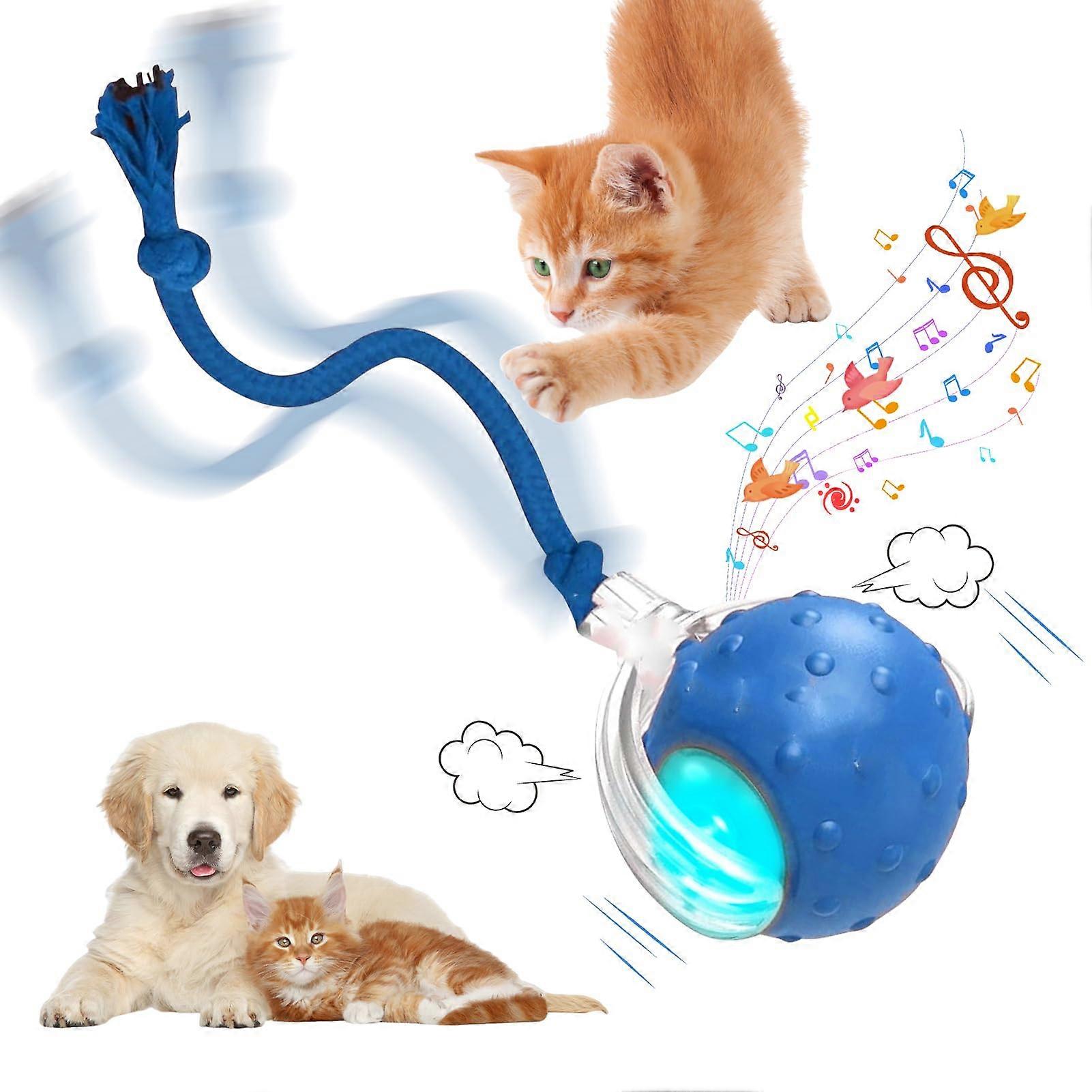 Interactive Cat Toy Electric Ball with LED Light, 360° Automatic Chirping Bird, USB Rechargeable, Self-Employment Model