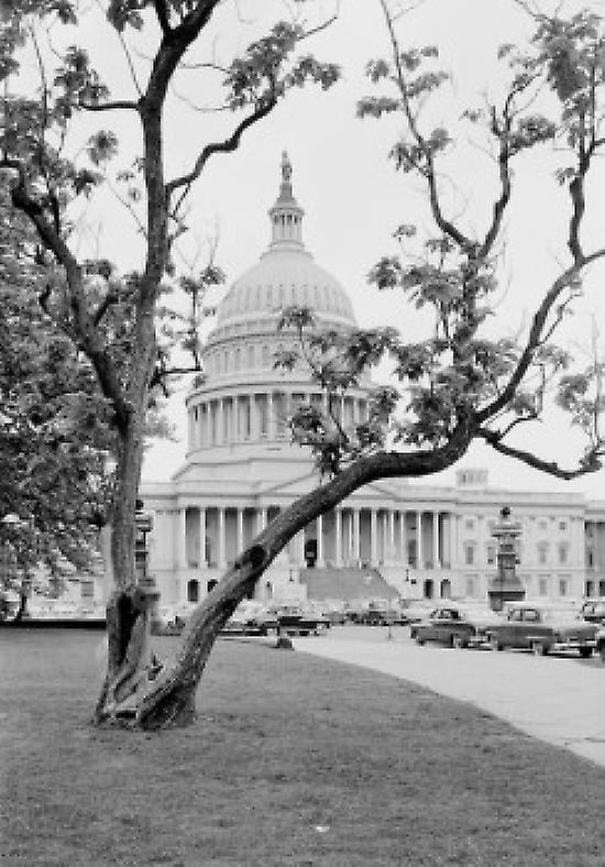 USA, Washington DC, US Capitol Building Poster