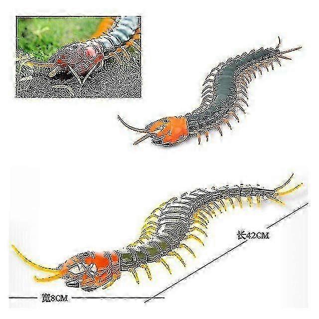 Radio Remote Control Radio Remote Control Wireless Remote Control Toy Centipede