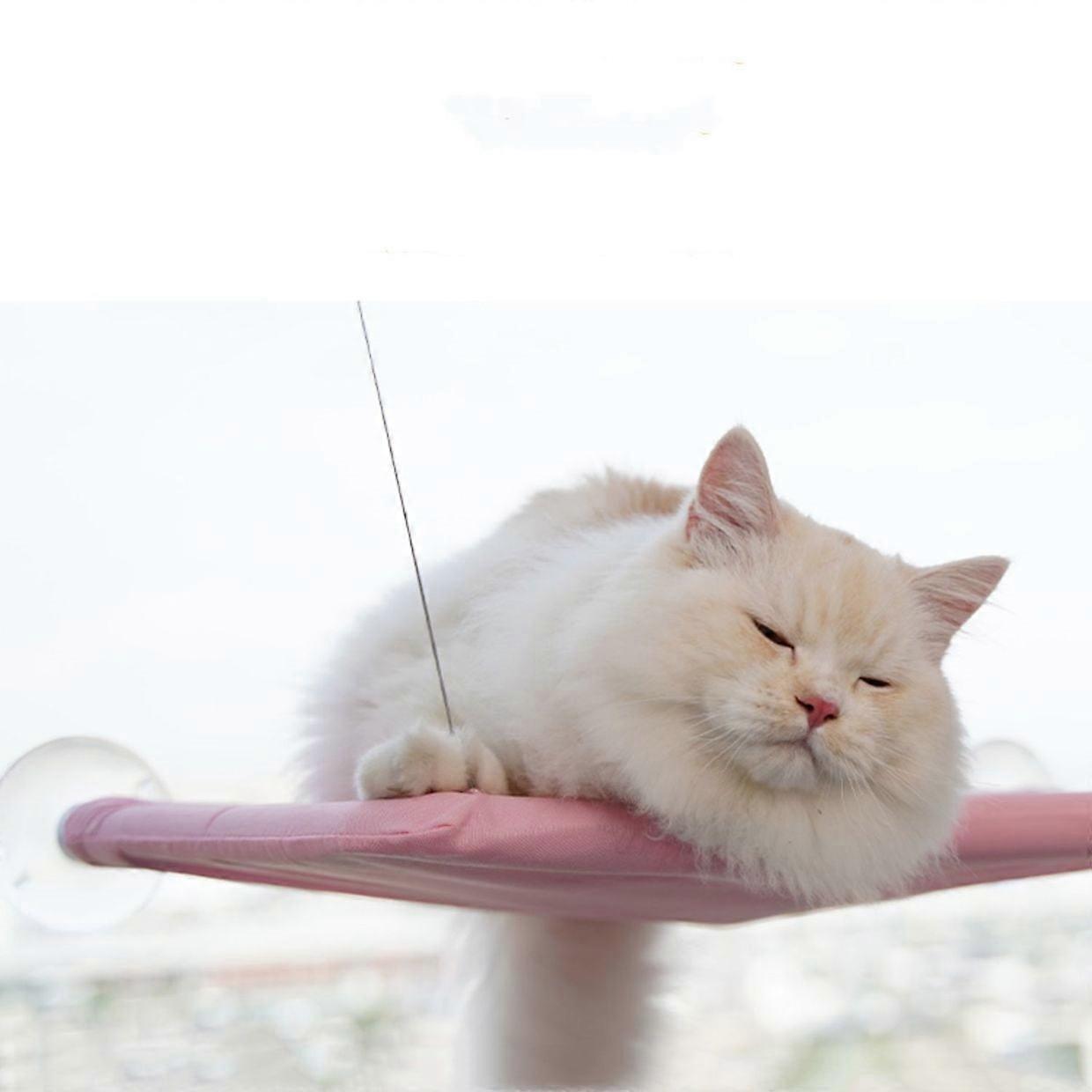 Cat Window Perch Hammock Seat Pets Window Shelves Beds Cat Hammock