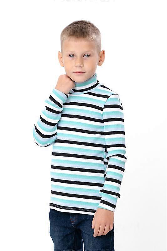 Boys’ Turtleneck – Warm & Stylish for Demi-Season,, Demi-season, HC 6068-022-4