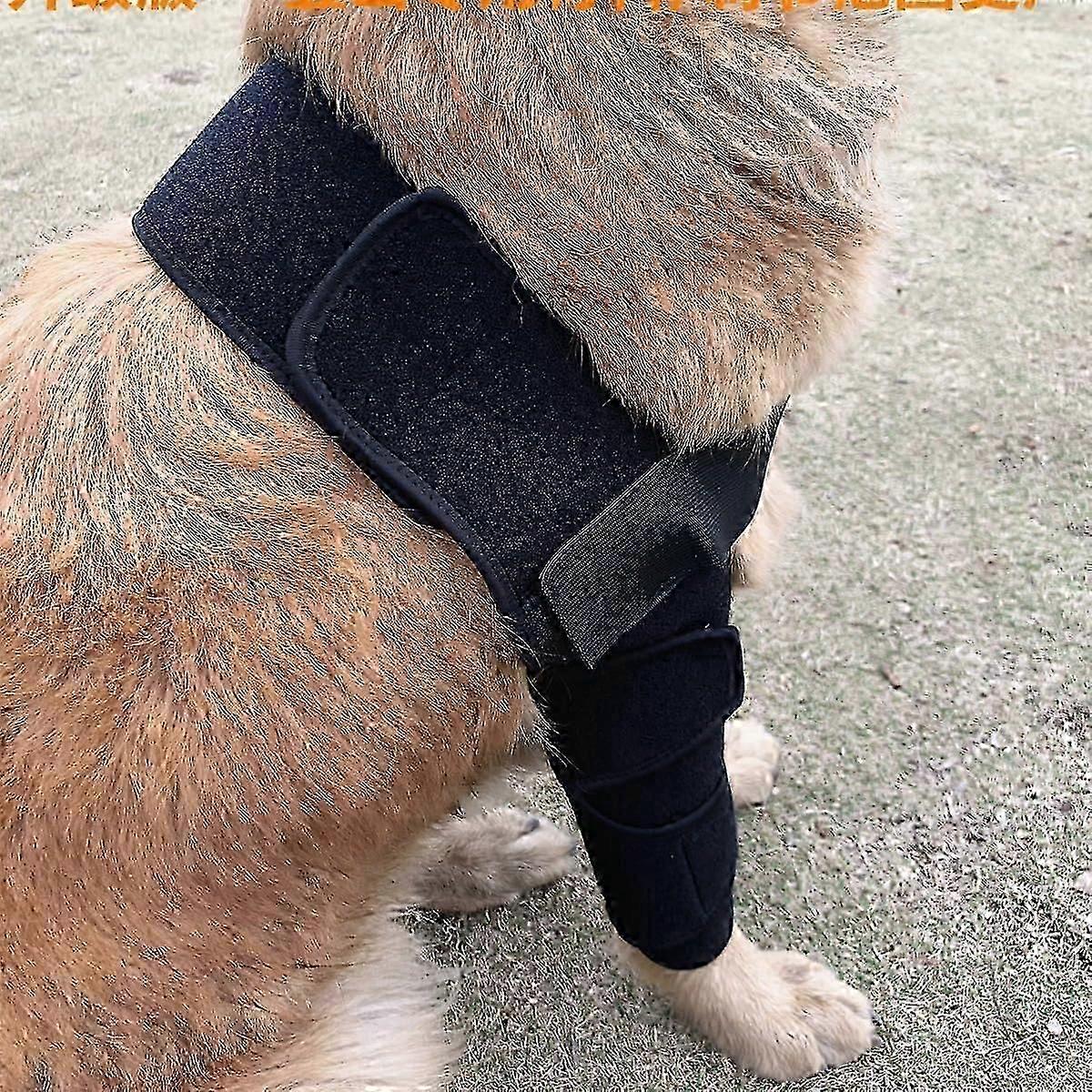 Adjustable Dog Elbow Brace - Support for Shoulders, Front Leg Injuries & Arthritis (Large)