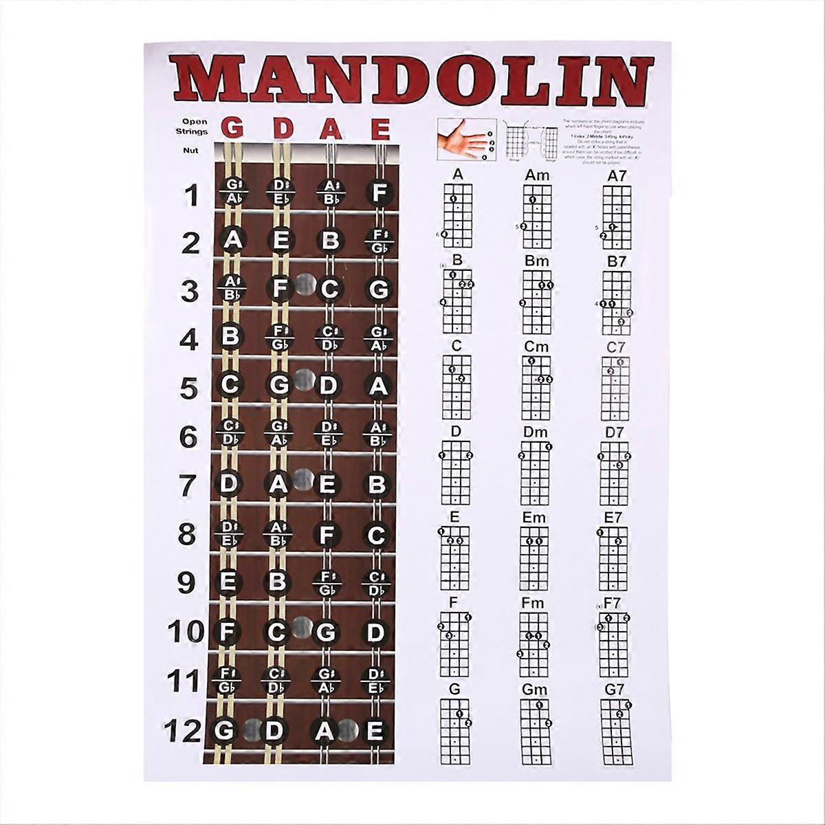 Mandolin Poster Chart Chord Musical Trainning Instrument Guide
