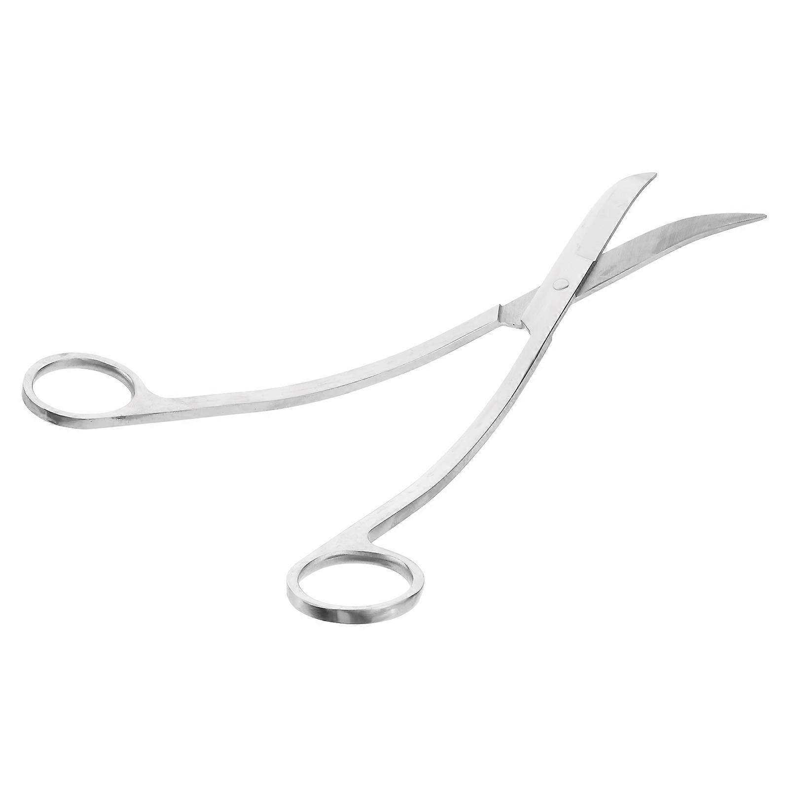 Wave Scissors Aquarium Use Stainless Cm Plant Scissors Silver